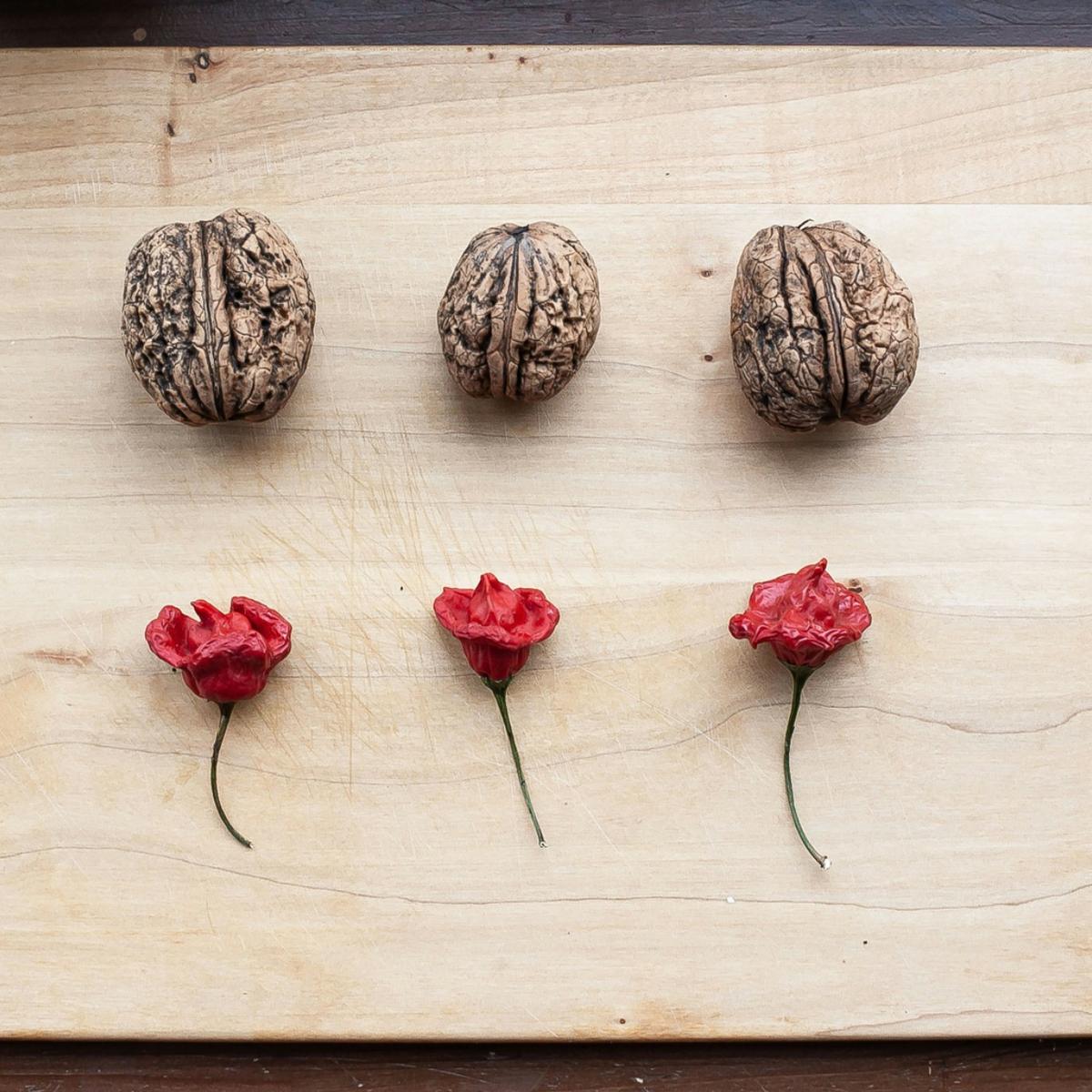 Brain & Energy Support
