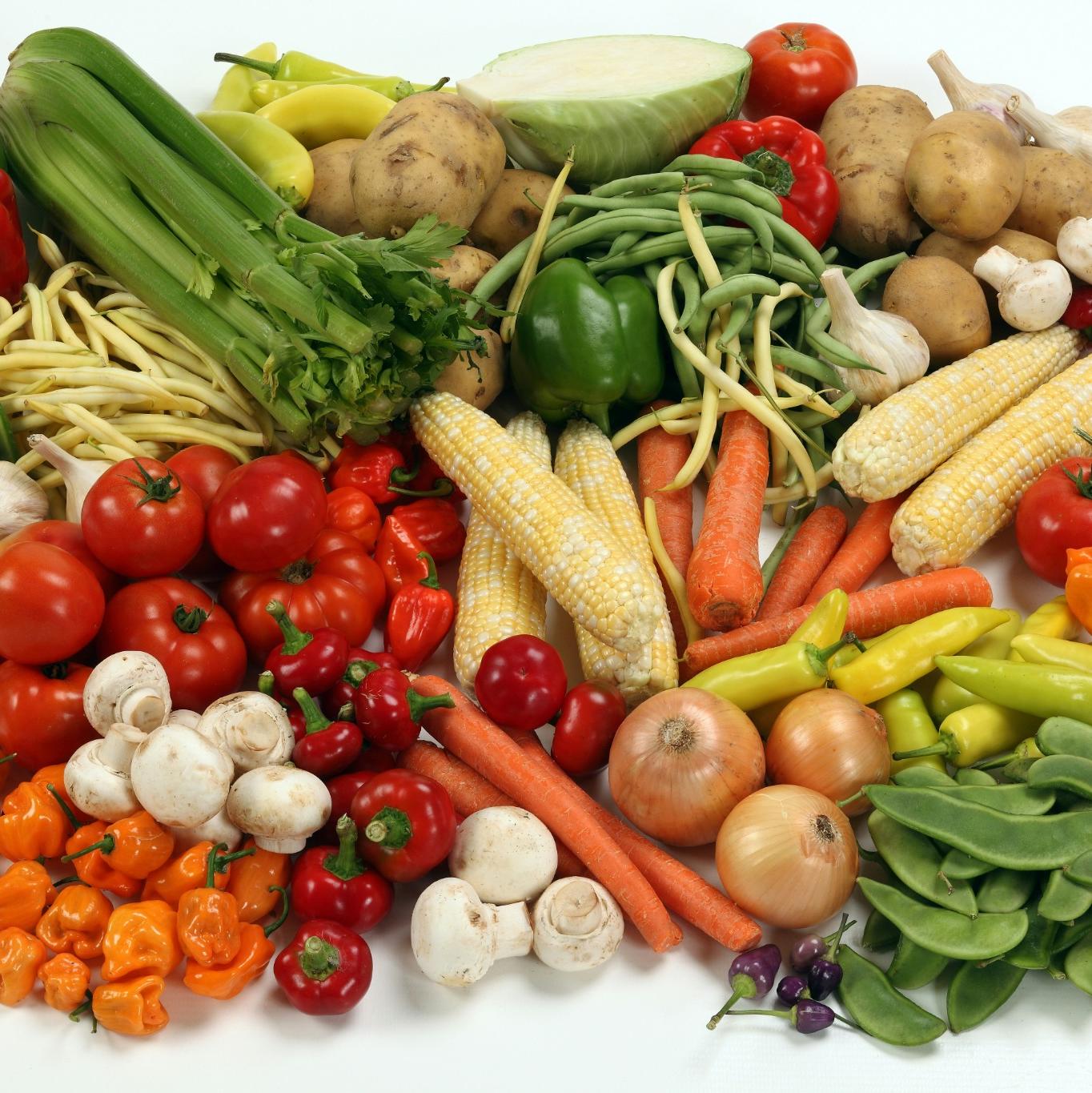 Dietary Fibers