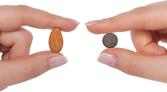 Seeking Health Iron Chewable - Mineral Supplement to Support Healthy Metabolism - Supplement Aids Muscle Function in Men & Women - Energy Support Supplement - 10 mg, 60 Tablets