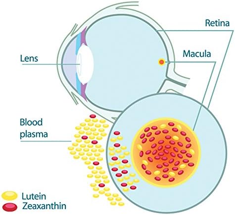 EyePromise Restore Supplement - 60 Softgel Capsules Containing Lutein, Vitamin C, Vitamin D, Vitamin E, Omega-3 Fish Oil, and Zeaxanthin - A Patented Complete Eye Health Formula