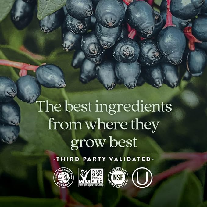 New Chapter Zinc Supplement, Fermented Zinc Complex, ONE Daily for Immune Support + Skin Health, Mineral-Balancing Formula Rich in Copper, Easy to Swallow & Digest, 30 Count (1 Month Supply)