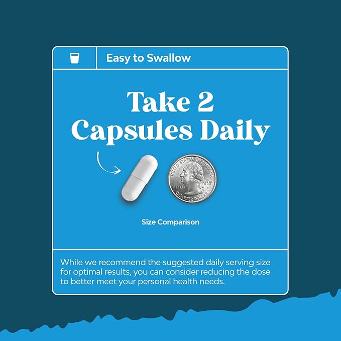 Pure Alpha Lipoic Acid Supplement with Acetyl L-Carnitine - Natural ALA ALC Amino Acids Boost Memory Support Mental Performance and Raise Energy Levels Metabolism - 60 Capsules