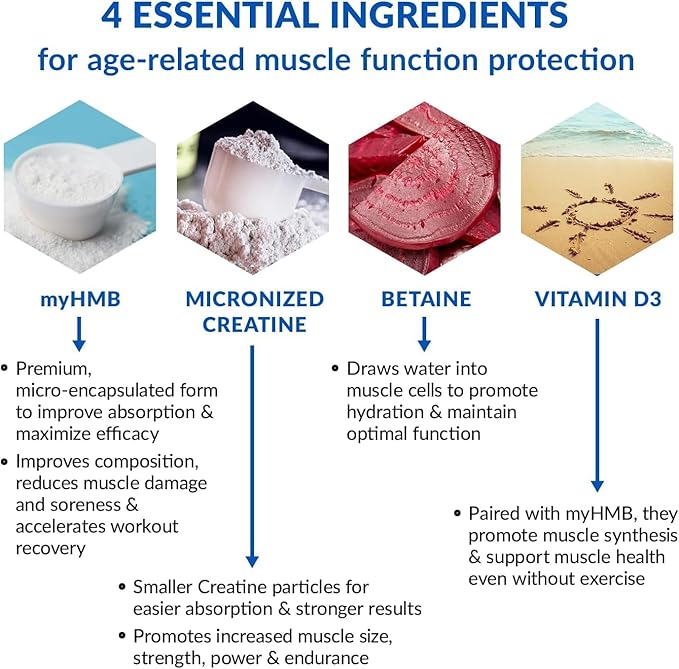 BioTrust Ageless Muscle Builder - Creatine HMB Powder with Vitamin D3 & Betaine - Build & Preserve Naturally Declining Muscle Mass & Strength - Fruit Punch, 60 Servings