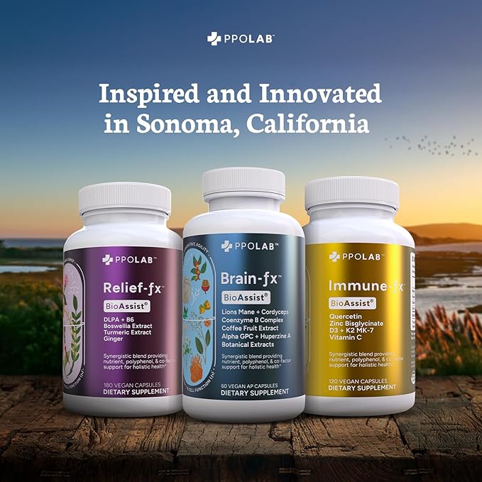 Brain-fx™ Daily Energy Focus Memory Mood Mind Nootropic Supplement - 5-MTHF Methyl B Vitamins, Coffee Fruit, L Theanine, Cordyceps, Lions Mane, Ginseng, Bacopa, Alpha GPC Choline 60 Vegan Capsules