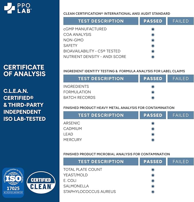 Brain-fx™ Daily Energy Focus Memory Mood Mind Nootropic Supplement - 5-MTHF Methyl B Vitamins, Coffee Fruit, L Theanine, Cordyceps, Lions Mane, Ginseng, Bacopa, Alpha GPC Choline 60 Vegan Capsules