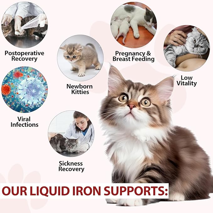 Liquid Iron for Cats, Liquid Iron Drops for Cats Supports Anemia, Low Enery Levels and Lethargy Cats- Improve Energy Levels & Vitality, Pet Supplies Cat Vitamin Supplement, Caramel Flavor - 2 fl.oz