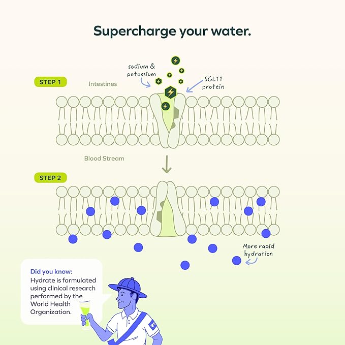 Cheers Hydrate | Oral Rehydration Solution | Electrolytes for Rapid Hydration After Drinking | Lemon Lime Flavor | 24 Servings | Electrolyte Supplement with Sodium, Potassium, Glucose