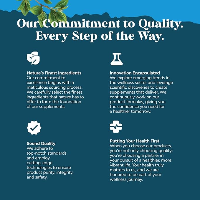 Pure Alpha Lipoic Acid Supplement with Acetyl L-Carnitine - Natural ALA ALC Amino Acids Boost Memory Support Mental Performance and Raise Energy Levels Metabolism - 60 Capsules