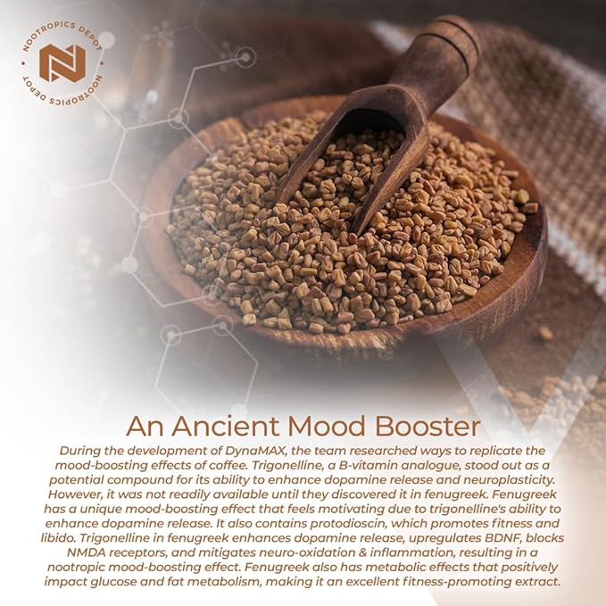Nootropics Depot Fenugreek Extract Capsules | 500mg | 60 ct | 3% Trigonelline, 1% Protodioscin | Trigonella foenum-graecum | Mood, Fitness, & Metabolic Function