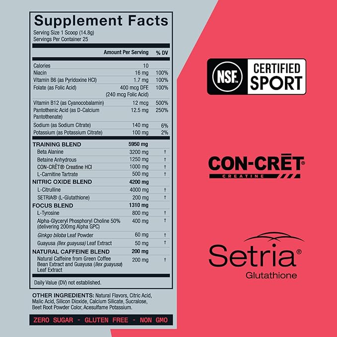 ZOA+ Zero Sugar Pre Workout Powder, Fruit Punch - NSF Certified for Sport with Electrolytes, Creatine, Beta Alanine, Ginkgo Biloba, 200mg Caffeine - 25 Servings