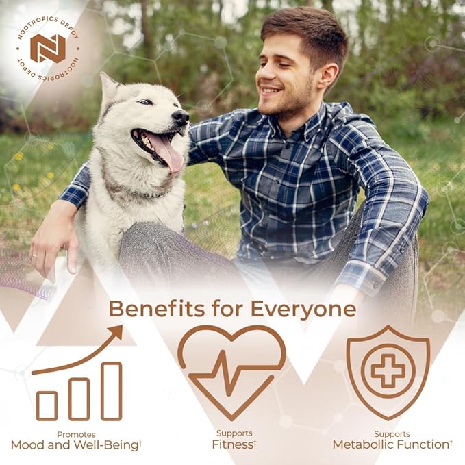 Nootropics Depot Fenugreek Extract Capsules | 500mg | 60 ct | 3% Trigonelline, 1% Protodioscin | Trigonella foenum-graecum | Mood, Fitness, & Metabolic Function