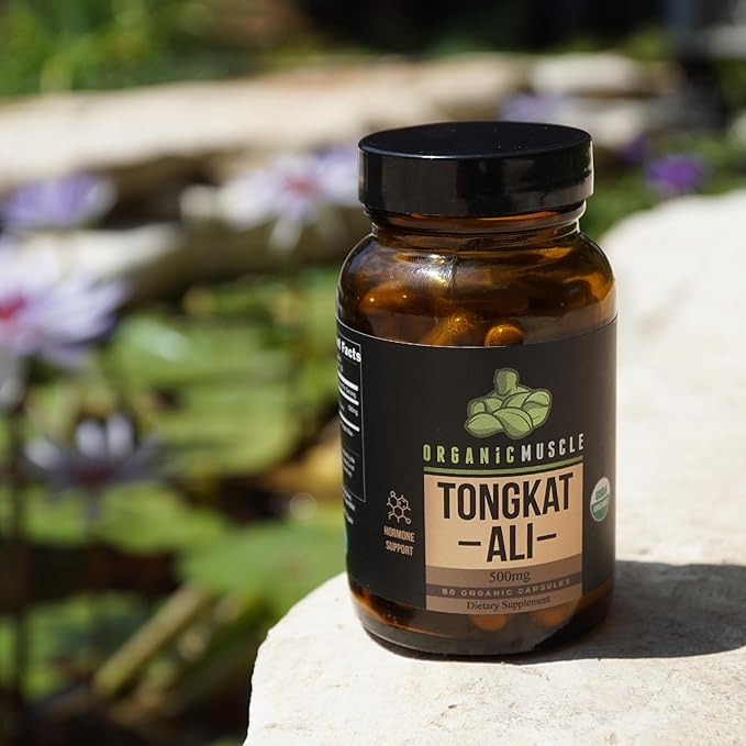 Organic Muscle Tongkat Ali for Men, 500mg - Pure & Potent USDA Eurycoma Longifolia Root Supplement 60 Count – Wild Grown Men's Health Hormone Support for Male Performance, Drive & Energizer