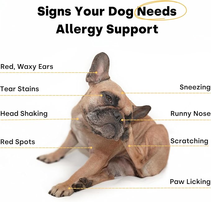Kayode Itch & Allergy - Natural Dog Allergy Chews. Allergy Relief for Dogs. Premium Colostrum for Dogs, Bee Pollen for Dog Allergies. Alternative to Allergy Medicine for Dogs