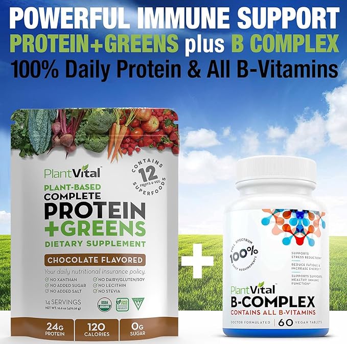 PlantVital Vegan Protein Powder Plant Based, Organic Protein Powder Chocolate, 24g/0g sugar, 12 Superfoods, Veggies, Probiotics, Raw Cocoa, Kale, Beets, Spirulina, Pea, Gluten-Free, Keto-Friendly,16oz