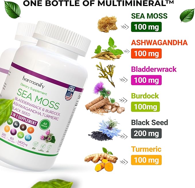 Sea Moss Black Seed Oil Ashwagandha Turmeric Bladderwrack & Burdock with Vitamin C & D3, Sambucus Elderberry, Apple Cider Vinegar and Dandelion Extract, 8 in 1 Supplement, 1400 mg