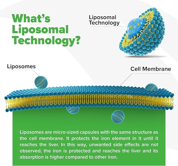 ORZAX Iron Supplement 25 mg -Liposomal Technology- High Bioavailability 90 Vegetable Capsules, Helps New Blood Cell Production, Non-Constipating, Non-GMO & Gluten Free, for Women, Men, Adults