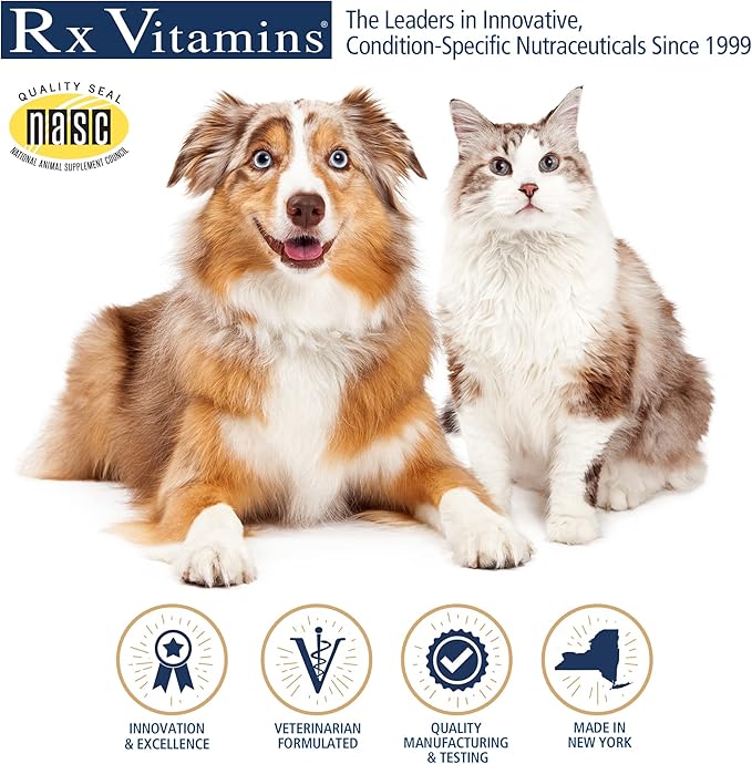 Rx Vitamins Amino B Plex for Pets - B Vitamin Complex Plus Amino Acids for Dogs & Cats - Vitamin Supplements for Dogs' & Cats' Total Body Support - 4 oz