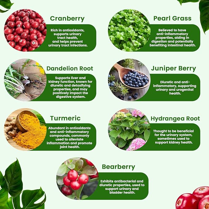 Kidney Cleanse Detox & Repair | Extra Strength 50:1 Cranberry Extract | 22-in-1 Kidney Health Supplement | Kidney Support Formula for Kidney Restore | Kidney Detox and Bladder Health