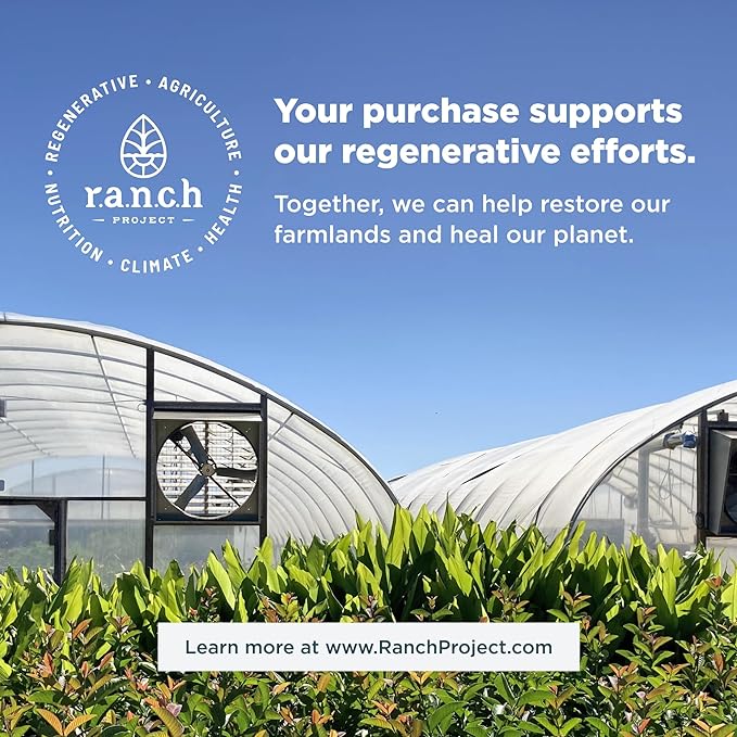 Liver Detox Supplement by Ancient Nutrition, Ancient Herbals Liver Cleanse with Milk Thistle, Dandelion Root & Reishi for Optimal Liver Support, 1300mg, Gluten Free, 60 Count