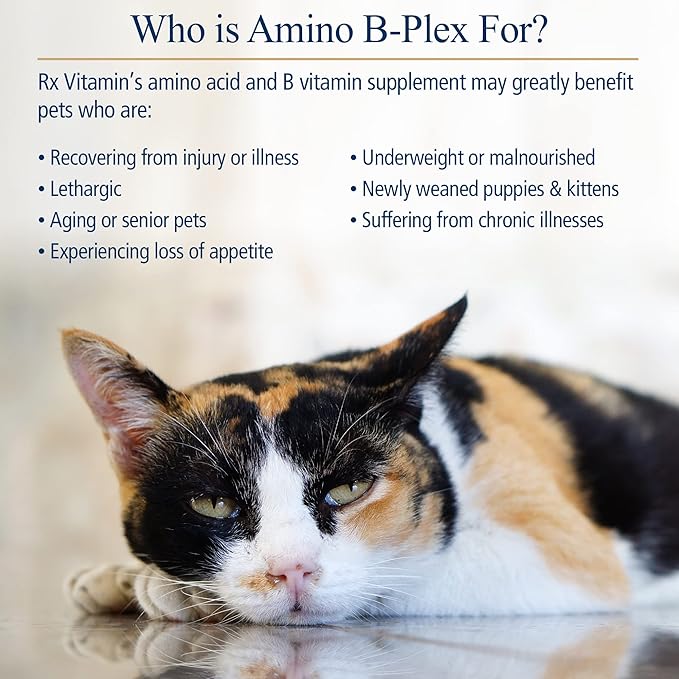 Rx Vitamins Amino B Plex for Pets - B Vitamin Complex Plus Amino Acids for Dogs & Cats - Vitamin Supplements for Dogs' & Cats' Total Body Support - 4 oz