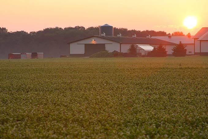 Standard Process SP Complete - Whole Food Nutrition with Amino Acids, Immune Support and Antioxidant Support with Rice Protein, Grapeseed Extract, and Choline - Vegetarian - 28 Ounce, 30 Servings