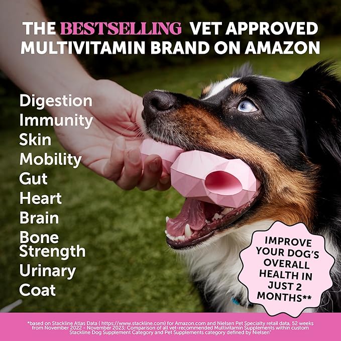 Pet Honesty Multivitamin Dog Supplement, Glucosamine Chondroitin for Dogs, Probiotics, Omega Fish Oil, Dog Supplements & Vitamins, Dog Vitamins for Skin and Coat Allergies, (Chicken 90 ct)