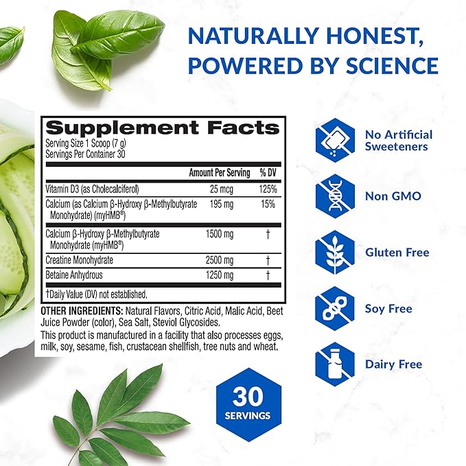 BioTrust Ageless Muscle Builder - Creatine HMB Powder with Vitamin D3 & Betaine - Build & Preserve Naturally Declining Muscle Mass & Strength - Fruit Punch, 60 Servings