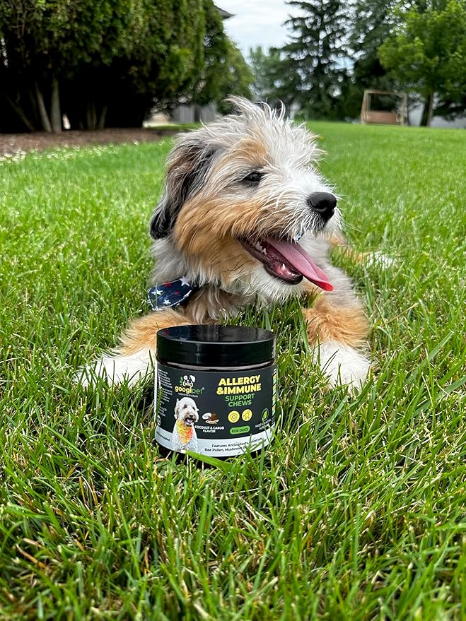 Googipet Dog Allergy Chews, Dog Allergy Relief & Itchy Skin Relief, Dog Skin & Coat Supplement +Bee Pollen, Colostrum for Dogs, Coconut Oil, Probiotics, & Omega 3 Fish Oil for Dogs Itching Skin Relief
